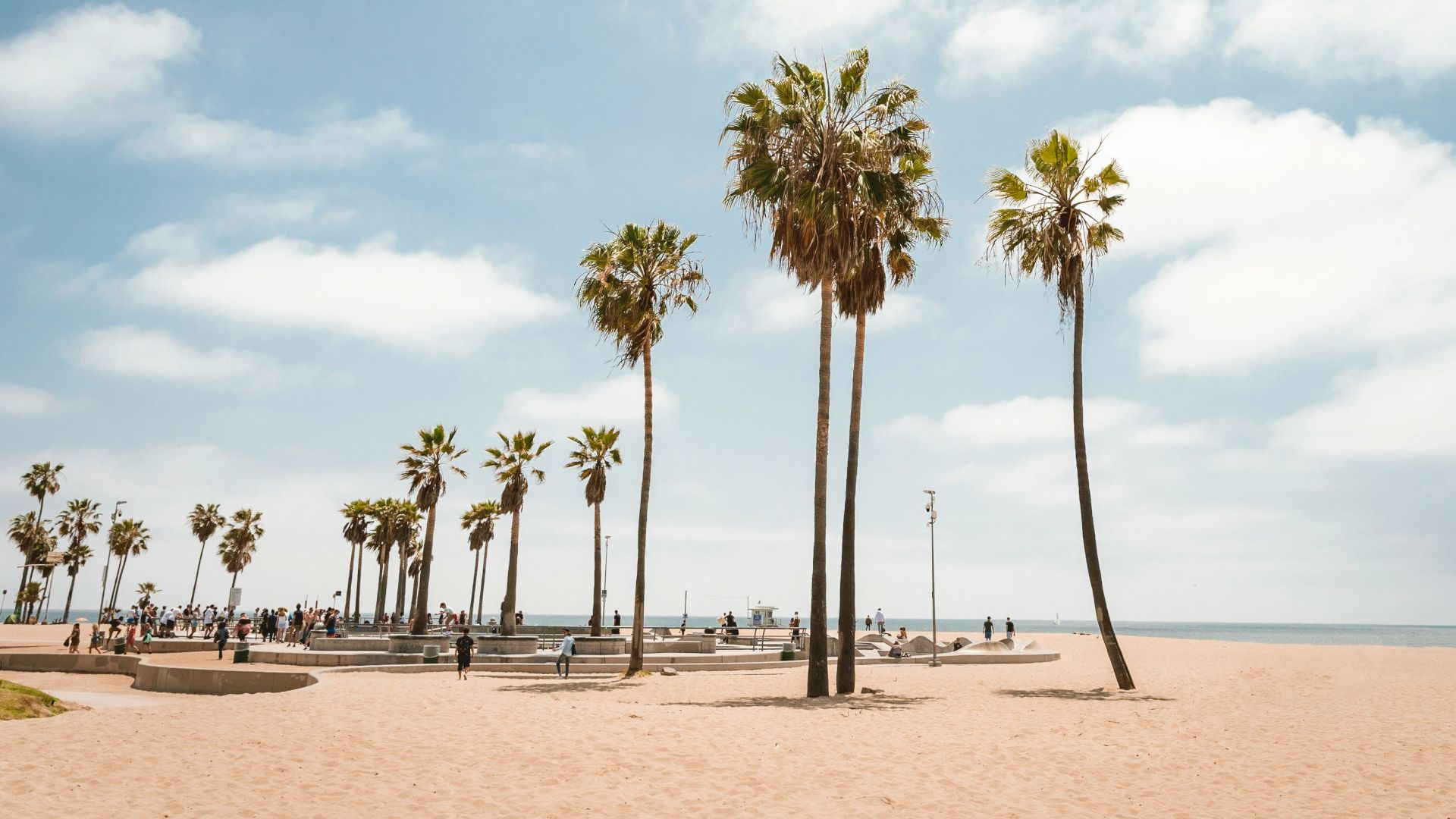 A sunny beach scene with palm trees, people walking, and a clear sky over the ocean.
