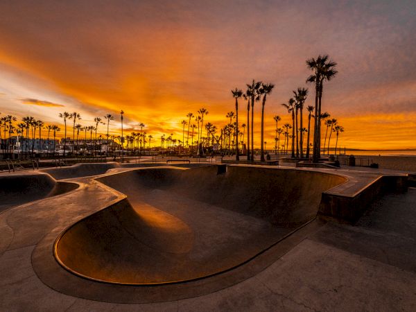 A sunset over a skate park with palm trees silhouetted against the vibrant sky, creating a serene and picturesque scene.