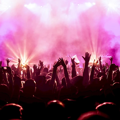 A lively concert scene with a crowd raising their hands under vibrant pink and orange stage lighting.