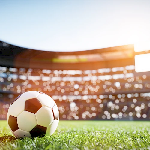 A soccer ball on a grassy field in a sunlit stadium with blurred audience in the background.