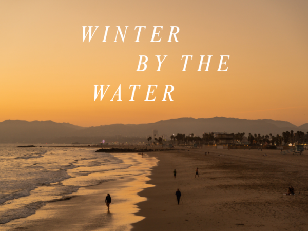 The Kinney Venice Beach