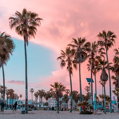 Palm trees line a sunny beach at sunset, with people strolling and lounging as pastel skies glow pink and blue.