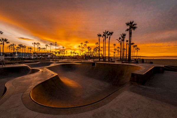 A sunset over a skate park with palm trees silhouetted against the vibrant sky, creating a serene and picturesque scene.