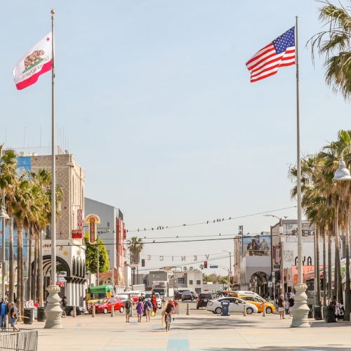 A boardwalk scene with palm trees, people, a mural, shops, and American and California flags under a clear sky.