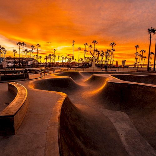 A skatepark with curved ramps, surrounded by palm trees at sunset, creating a vibrant orange and yellow sky.