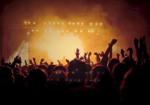 A vibrant concert scene with silhouettes of a cheering crowd and bright stage lights illuminating the background.