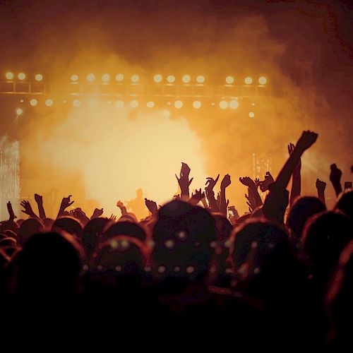 A vibrant concert scene with silhouettes of a cheering crowd and bright stage lights illuminating the background.